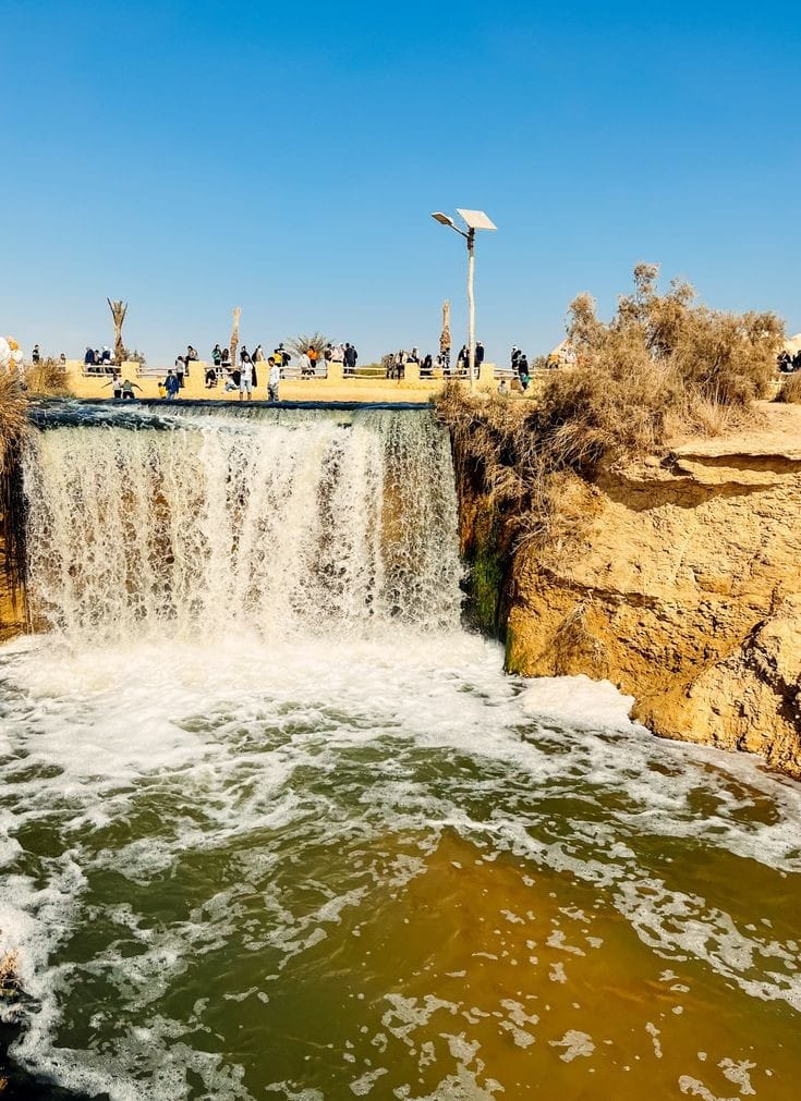 WhatsApp Image 2025-03-23 at 17.28.26_612e4018